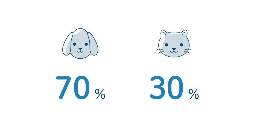 エヌアセットスタッフにアンケート 犬派?猫派?