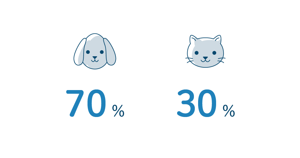 エヌアセットスタッフにアンケート 犬派?猫派?