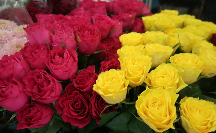 株式会社エヌアセット サムネイル