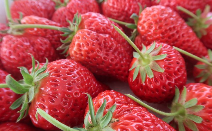 株式会社エヌアセット サムネイル